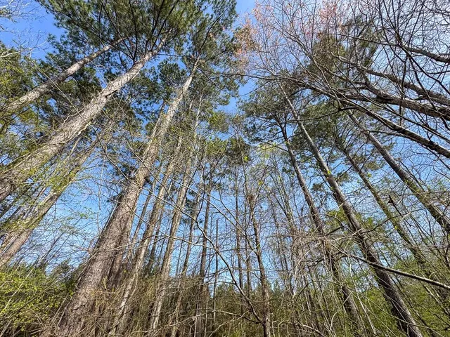 a picture of street view