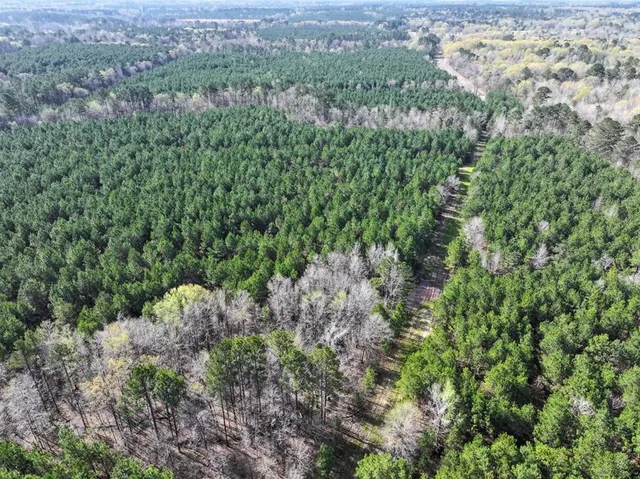 a view of a house with a lush green forest