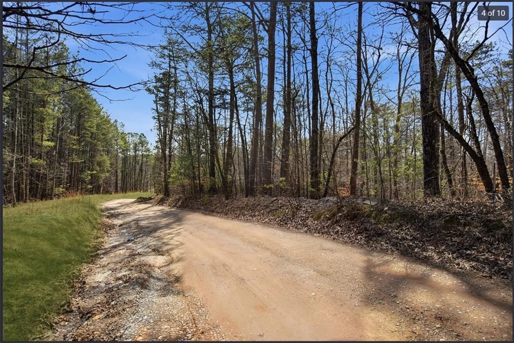 64 Bull Gap Road Talking Rock, GA 30175 - Photo 5 of 11 Gallery Image 5