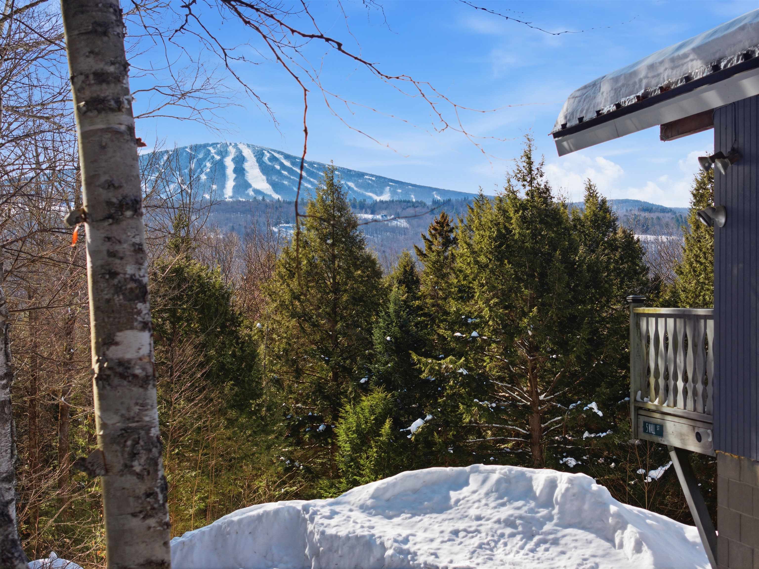 5 Wall Street Winhall, VT 05340 - Photo 2 of 39