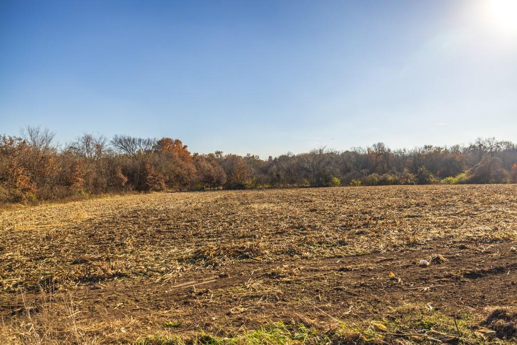 9 West Ryan Road Grain Valley, MO 64029 - Photo 14 of 23