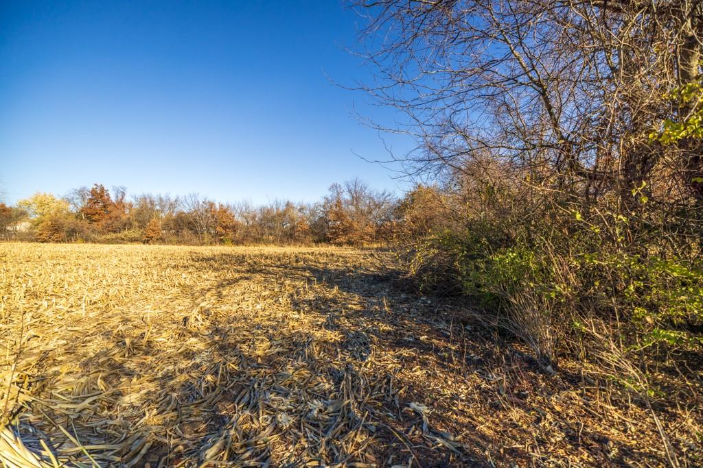 9 West Ryan Road Grain Valley, MO 64029 - Photo 17 of 23