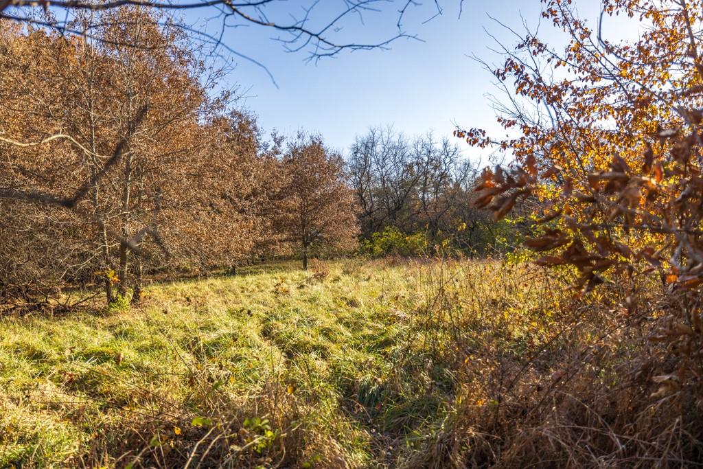 9 West Ryan Road Grain Valley, MO 64029 - Photo 19 of 23