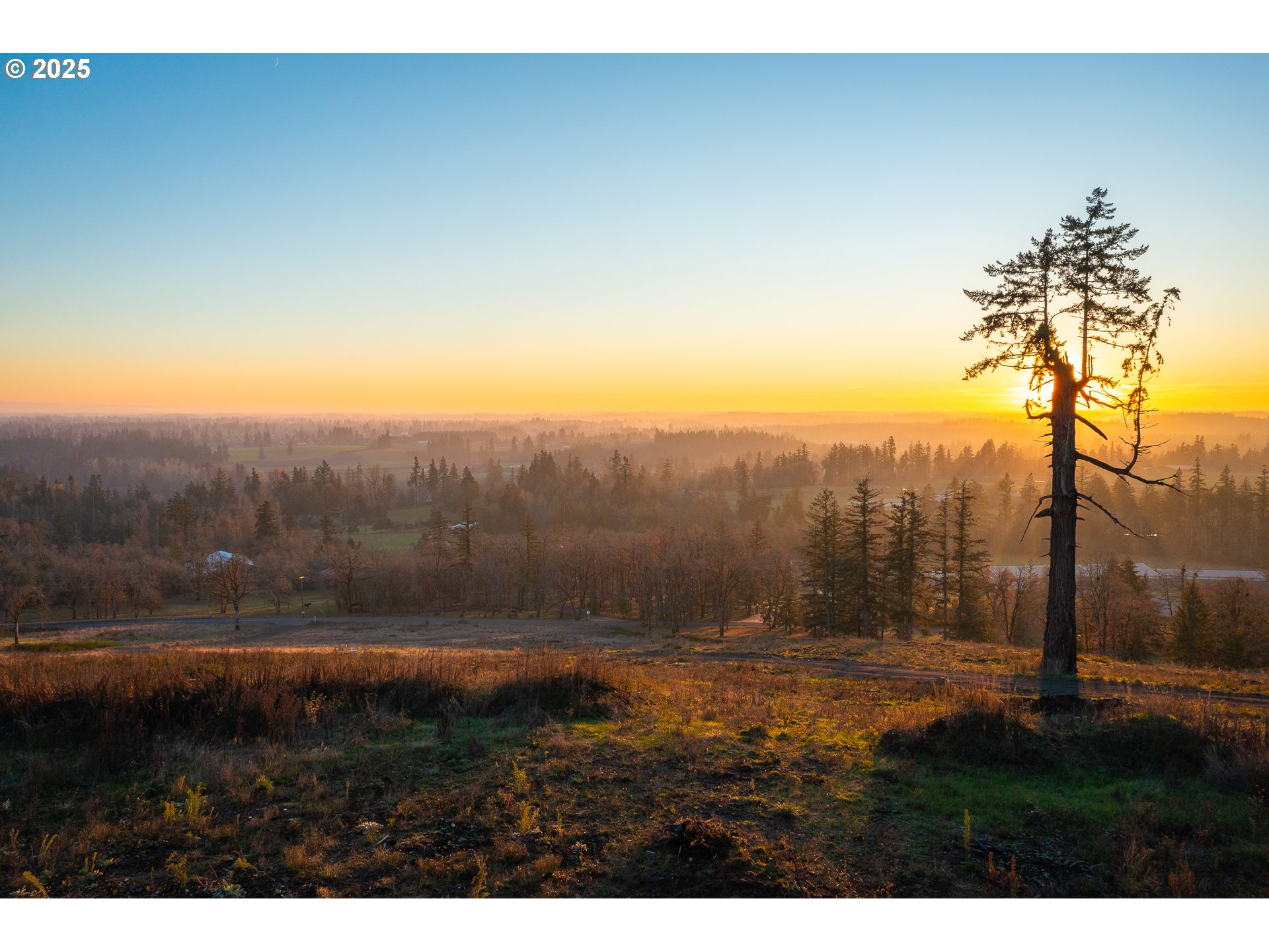 527 Southwest Hoffman Road West Linn, OR 97068 - Photo 4 of 33 a view of outdoor space and yard