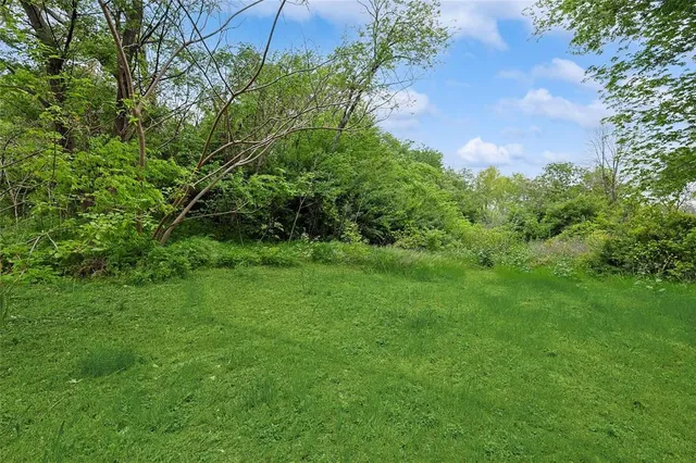 a view of a lush green space