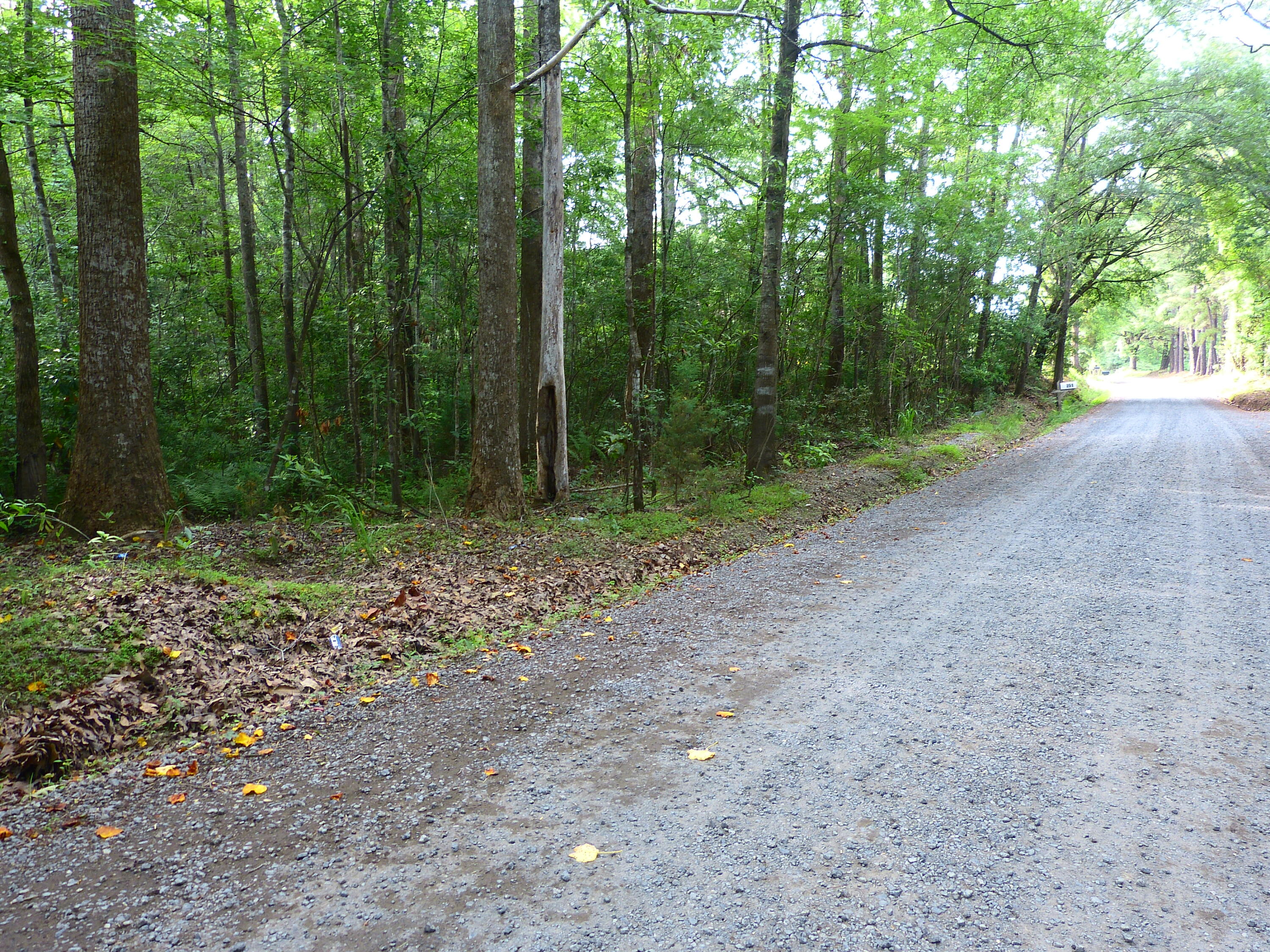 P1080221