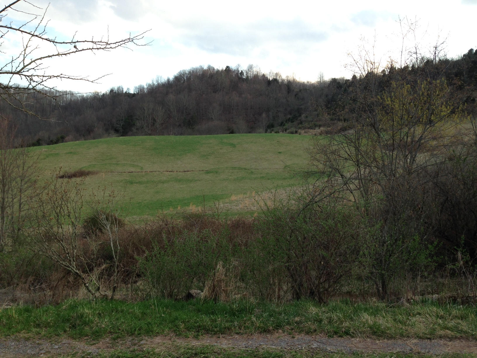 Dillon Road Forest Hill, WV 24935 - Photo 14 of 93 Gallery Image 14