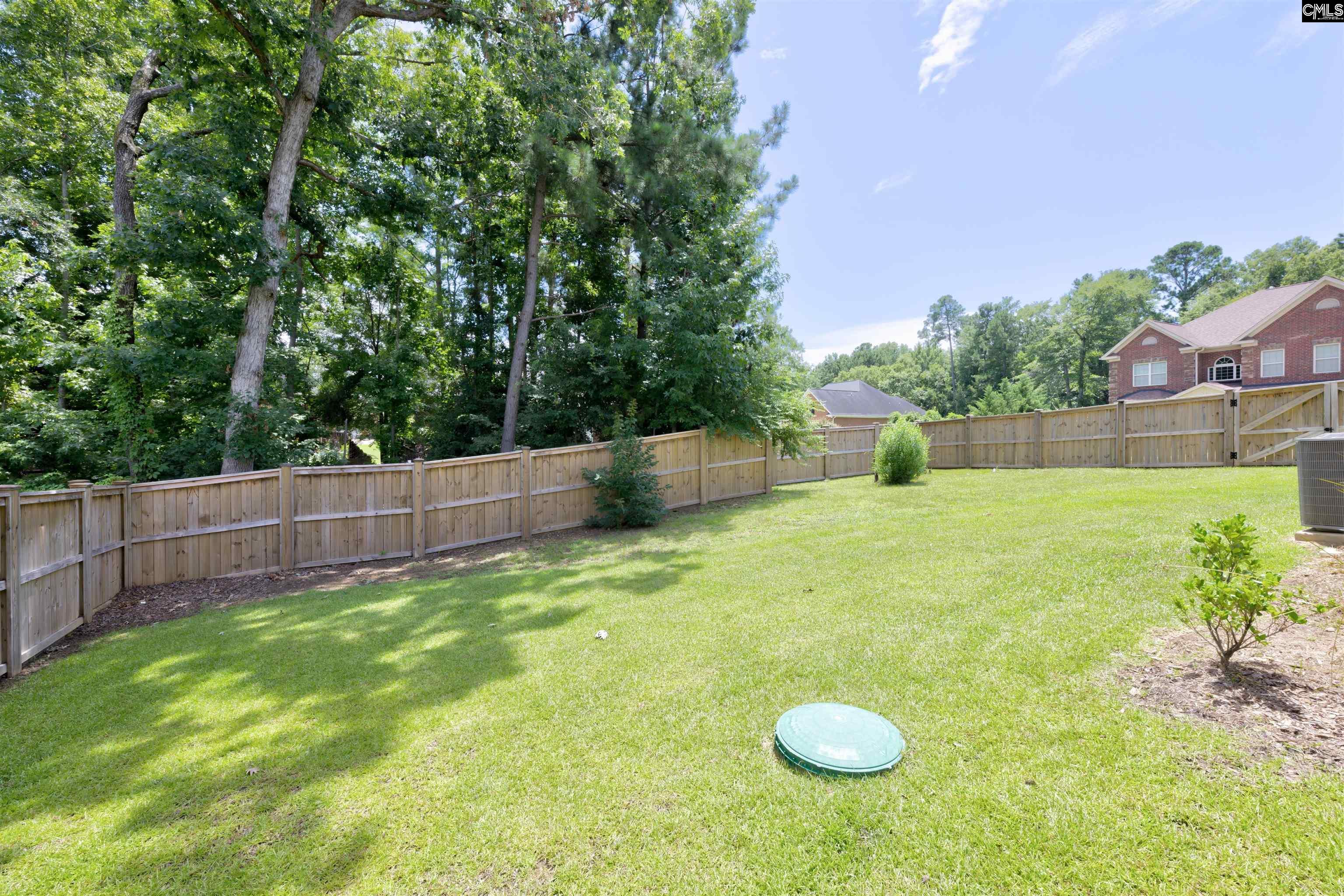 404 Lombard Way Chapin, SC 29036 - Photo 29 of 36
