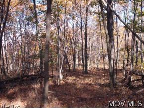 0 Ramsey Ridge Road West Union, WV 26456 - Photo 2 of 2