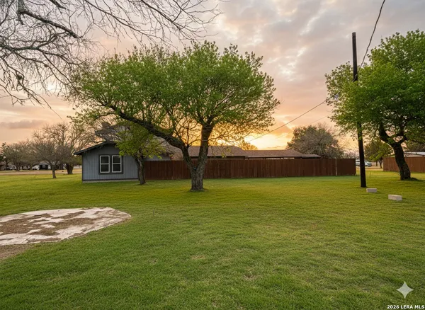 a view of a trees in a yard next to a house