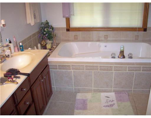2017 Mountain Shadow Road Hopwood, PA 15445 - Photo 9 of 12 Master Bath/Spa.
