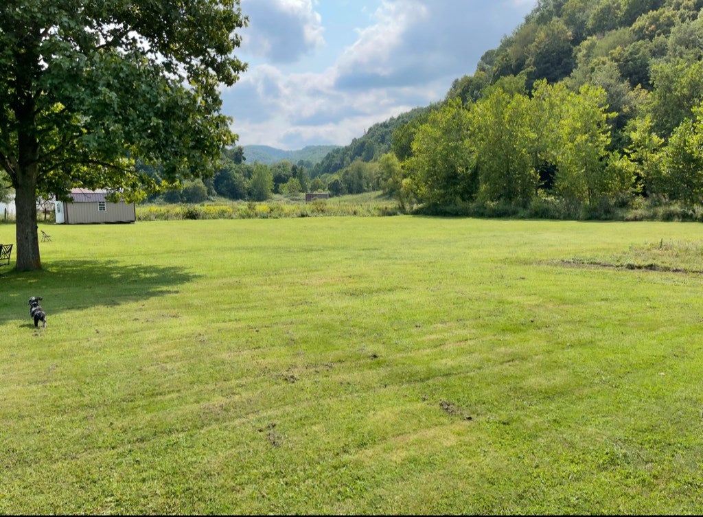 569 Peery Addition Road Tazewell, VA 24651 - Photo 25 of 30 Gallery Image 25