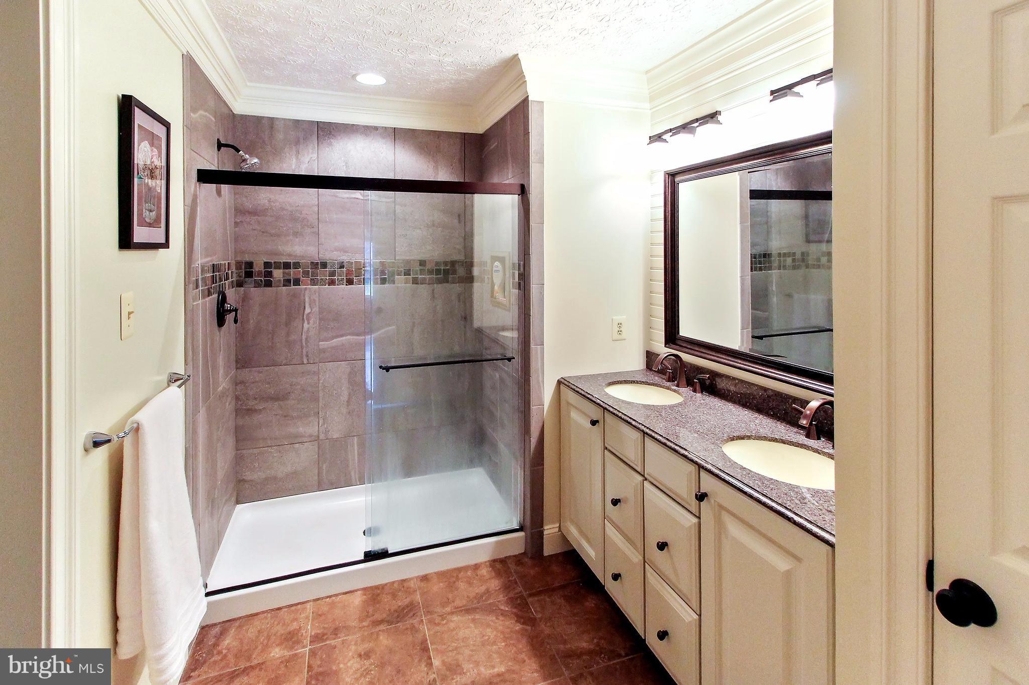 75 Hunt Valley Loop Elkton, MD 21921 - Photo 13 of 20 Bath (Master)