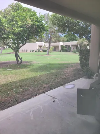 a view of a park with large trees