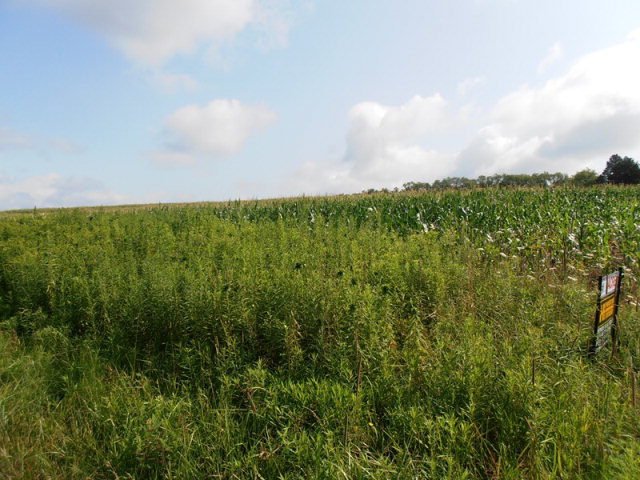 0 Rt 428 Oil City, PA 16301 - Photo 1 of 1