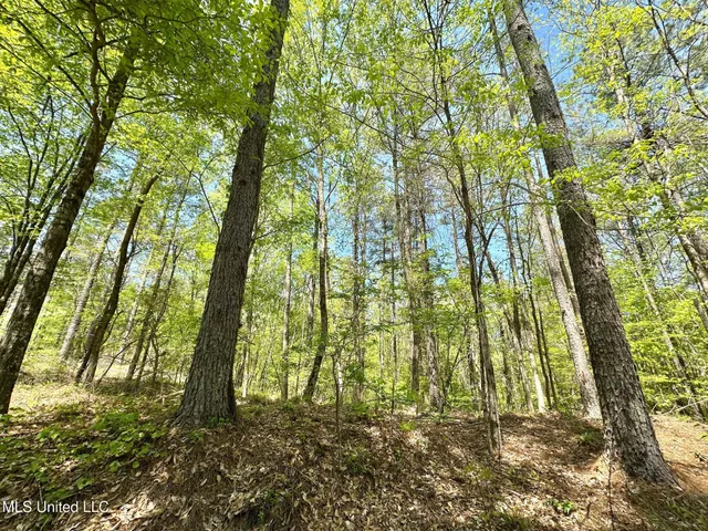 $1,059,000 | 0 County Road 375, Carrollton, MS 38917