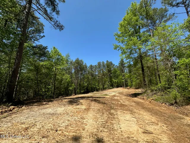 $1,059,000 | 0 County Road 375, Carrollton, MS 38917