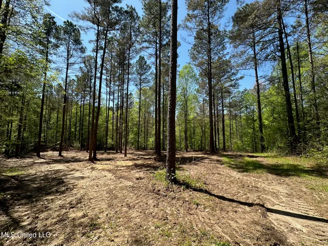 $1,059,000 | 0 County Road 375, Carrollton, MS 38917