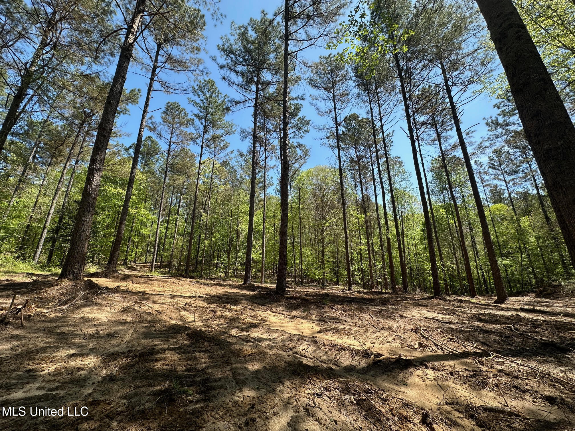 0 County Road 375 Carrollton, MS 38917 - Photo 13 of 67 12