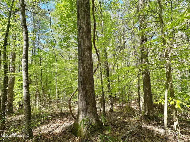 $1,059,000 | 0 County Road 375, Carrollton, MS 38917