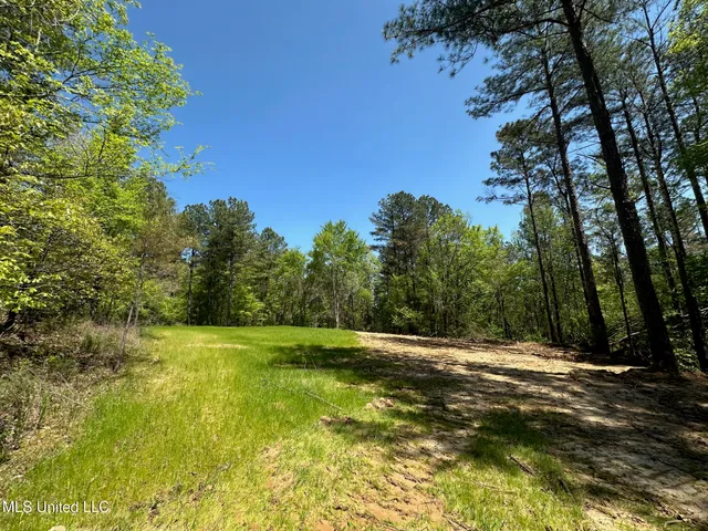 $1,059,000 | 0 County Road 375, Carrollton, MS 38917