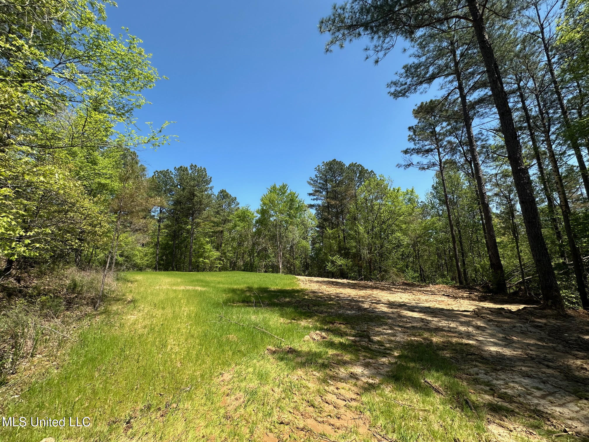 0 County Road 375 Carrollton, MS 38917 - Photo 16 of 67 15