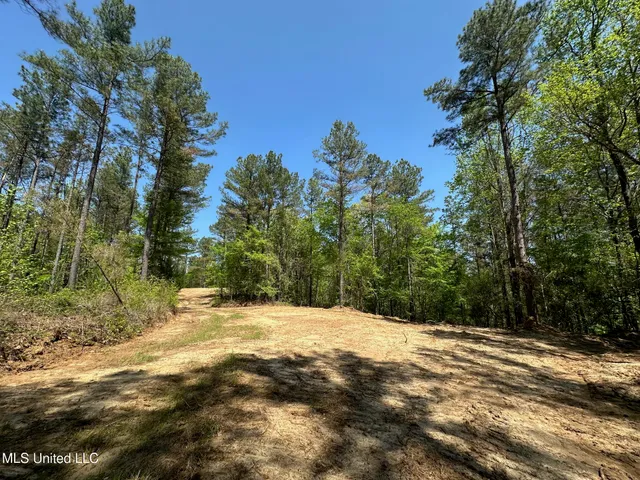 $1,059,000 | 0 County Road 375, Carrollton, MS 38917