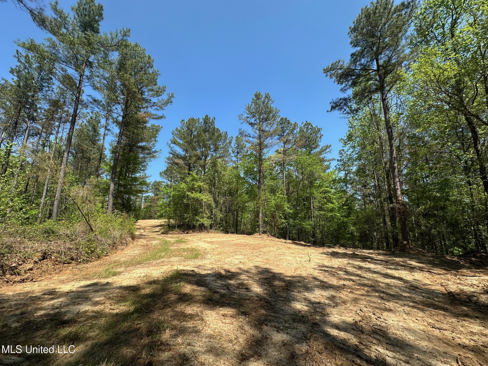 0 County Road 375 Carrollton, MS 38917 - Photo 17 of 67 16
