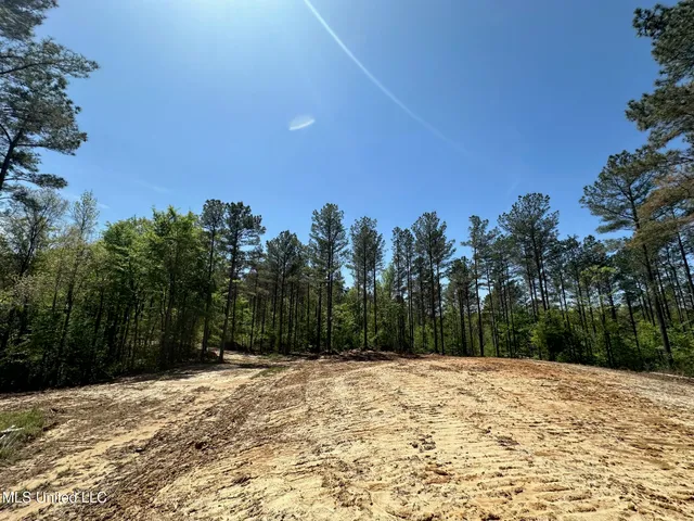 $1,059,000 | 0 County Road 375, Carrollton, MS 38917