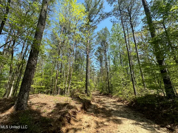 $895,000 | 0 County Road 375, Carrollton, MS 38917