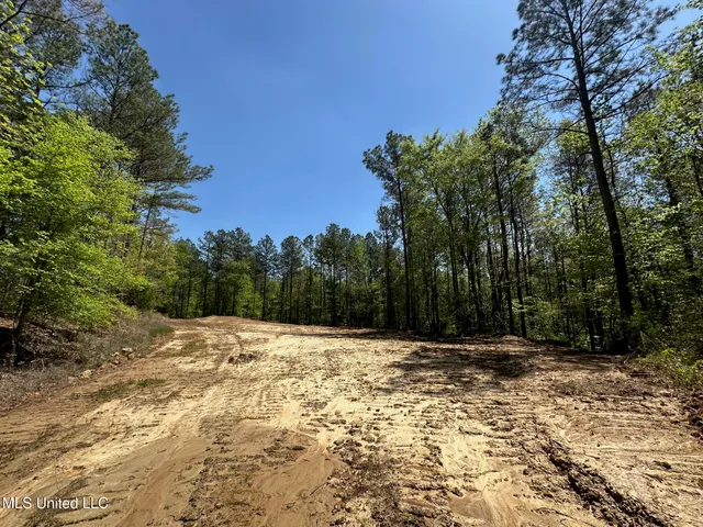 $1,059,000 | 0 County Road 375, Carrollton, MS 38917