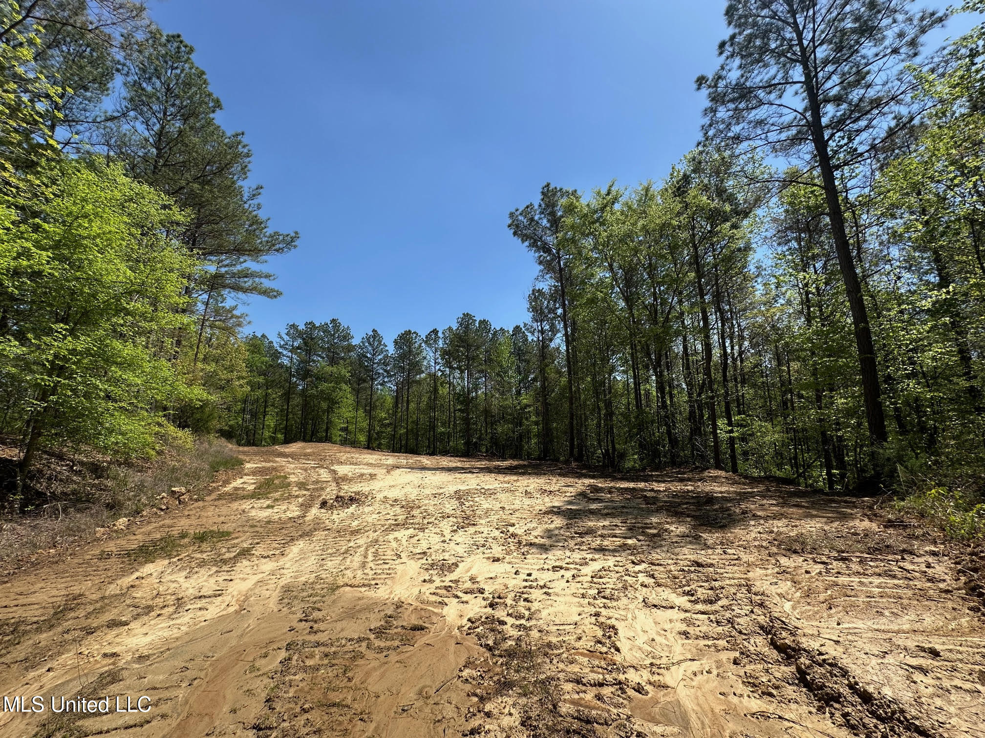 0 County Road 375 Carrollton, MS 38917 - Photo 20 of 67 20