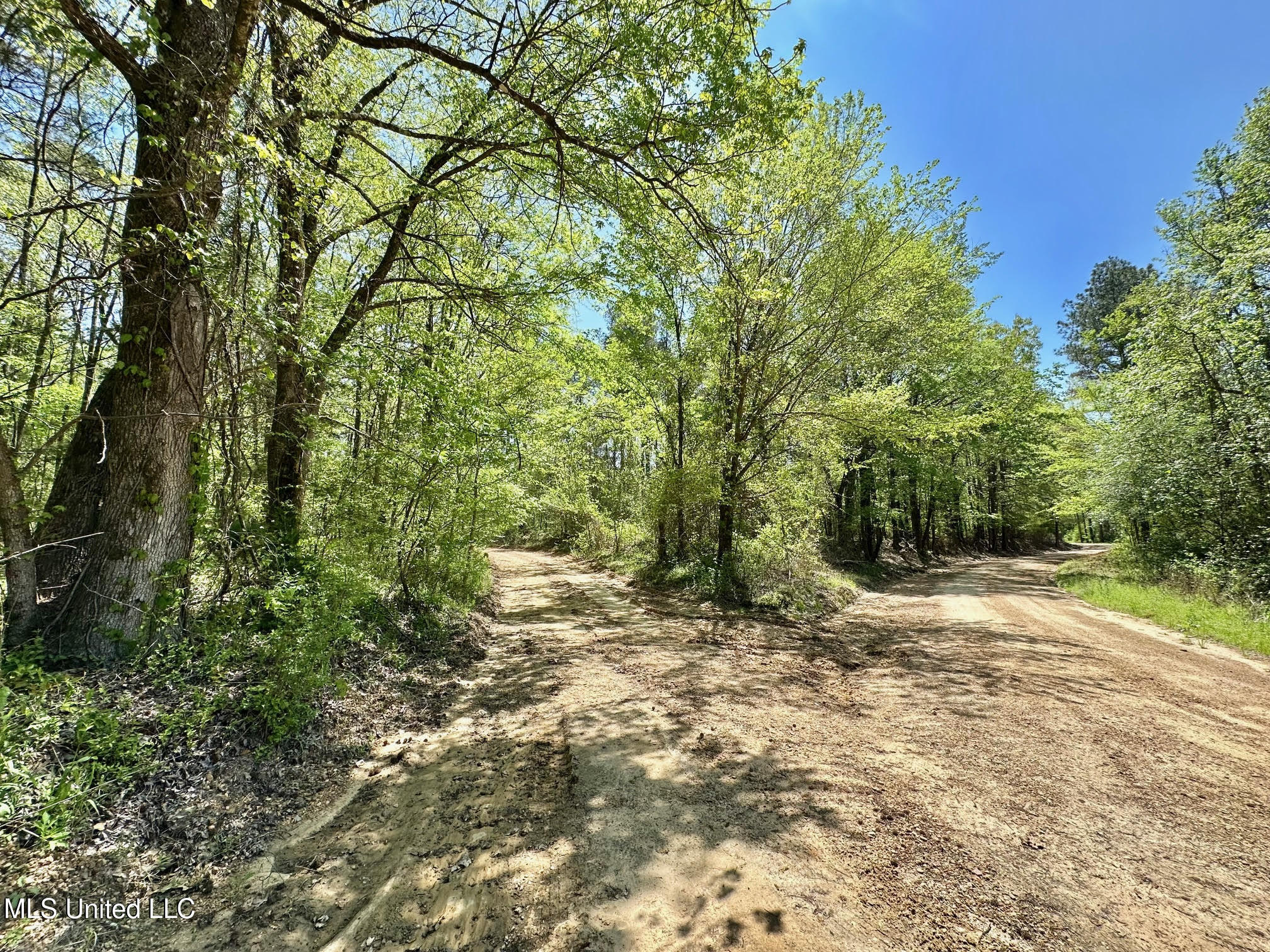 0 County Road 375 Carrollton, MS 38917 - Photo 2 of 67 1