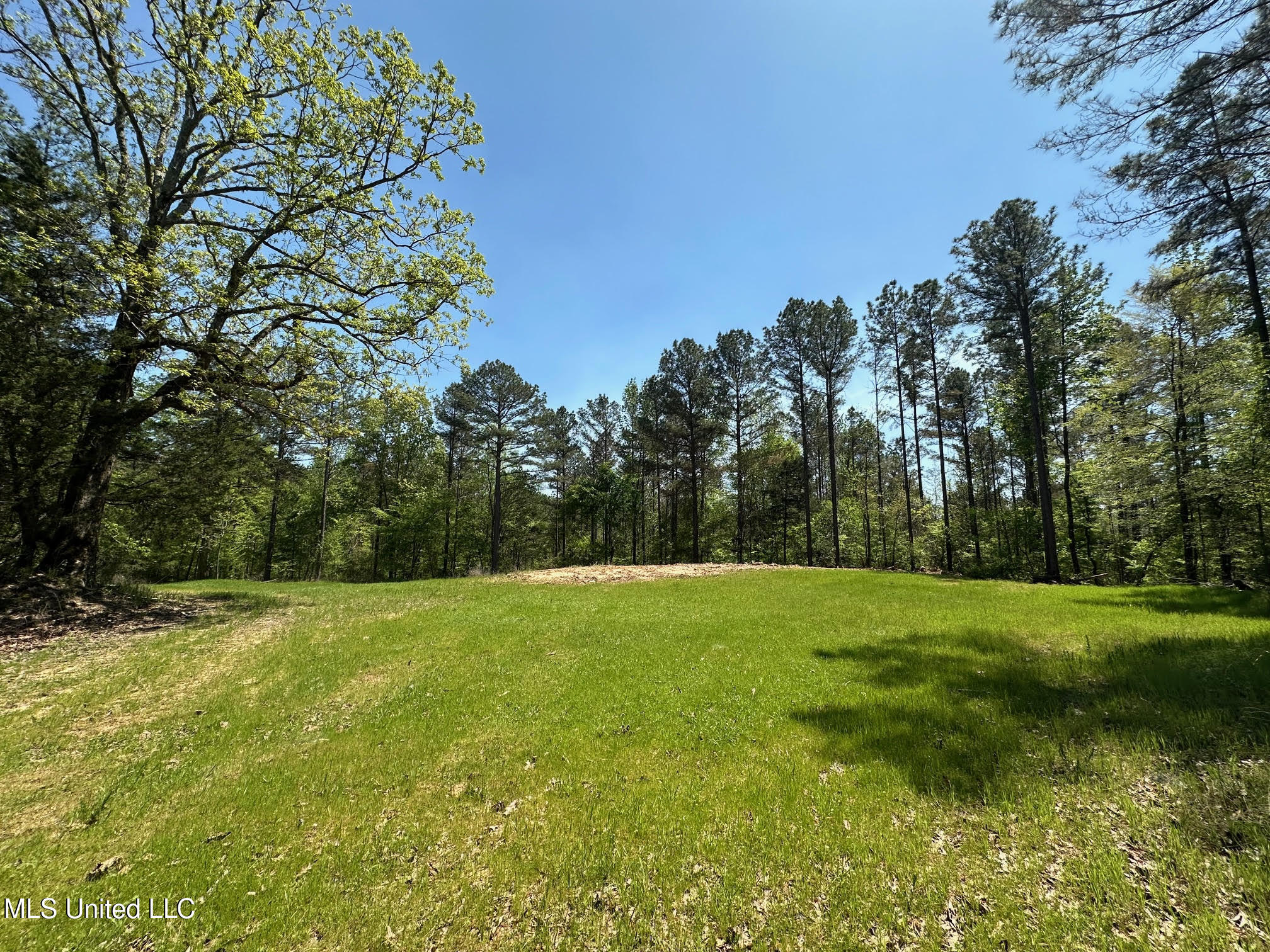 0 County Road 375 Carrollton, MS 38917 - Photo 21 of 67 21