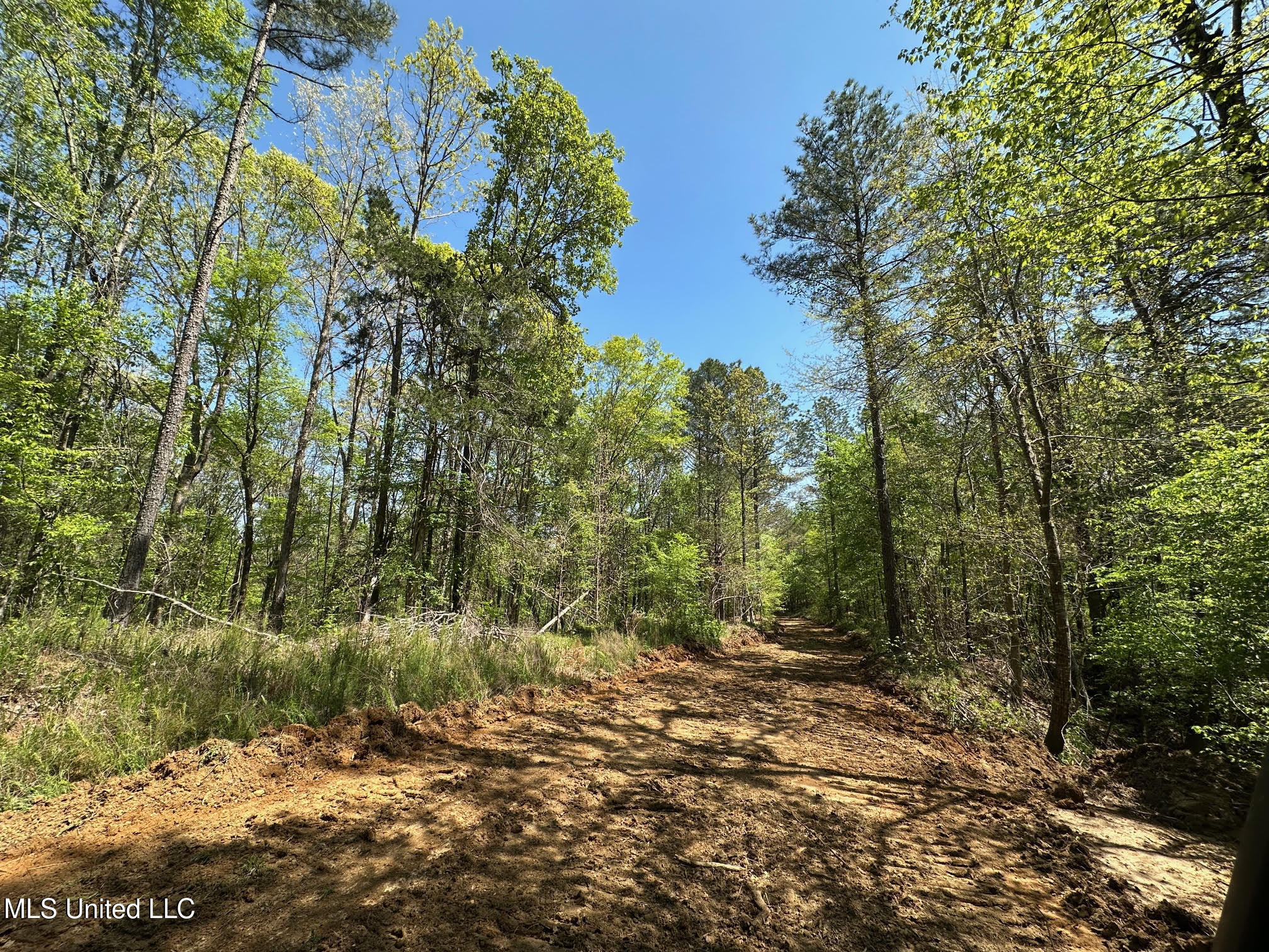 0 County Road 375 Carrollton, MS 38917 - Photo 23 of 63 27