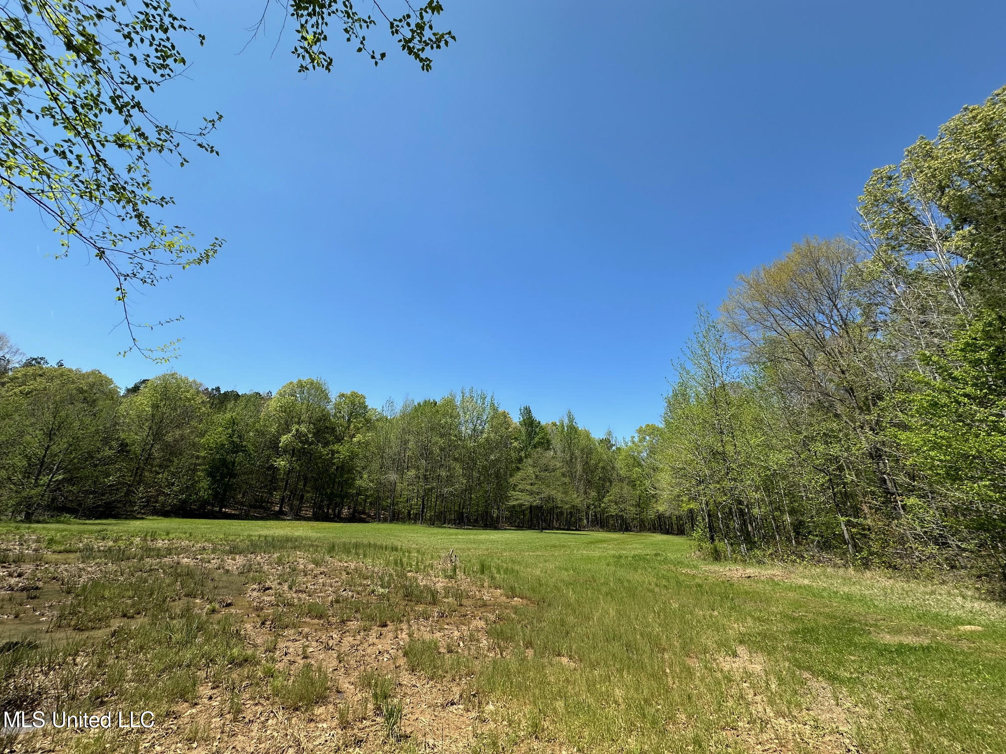 0 County Road 375 Carrollton, MS 38917 - Photo 24 of 67 24