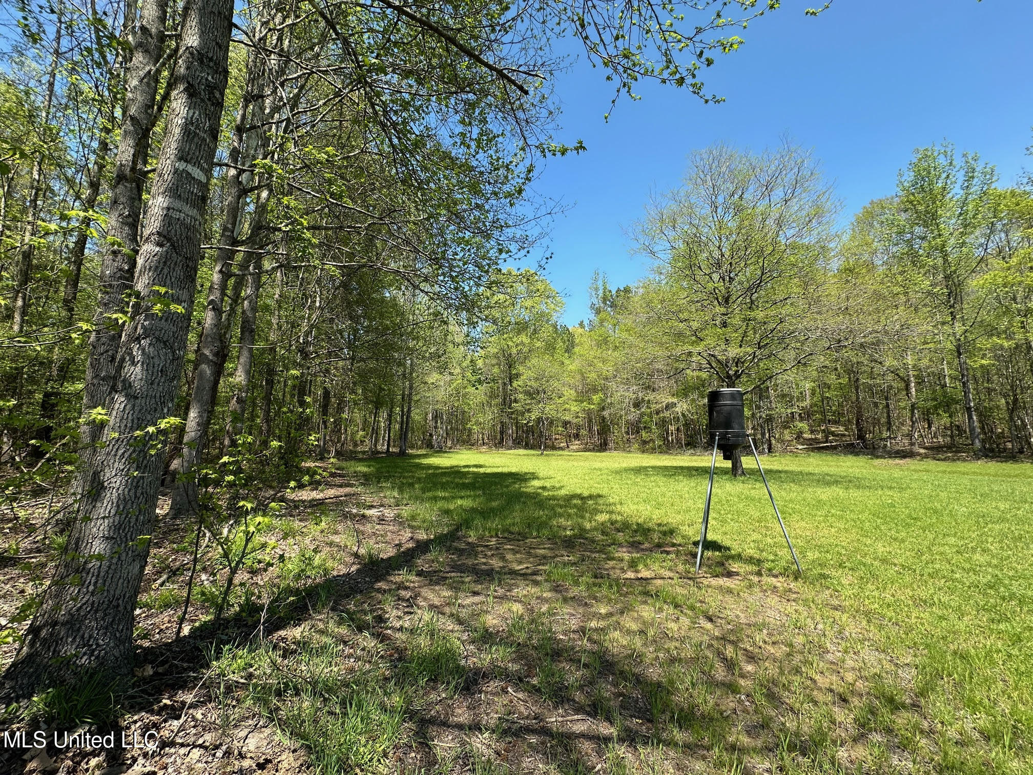 0 County Road 375 Carrollton, MS 38917 - Photo 25 of 67 25