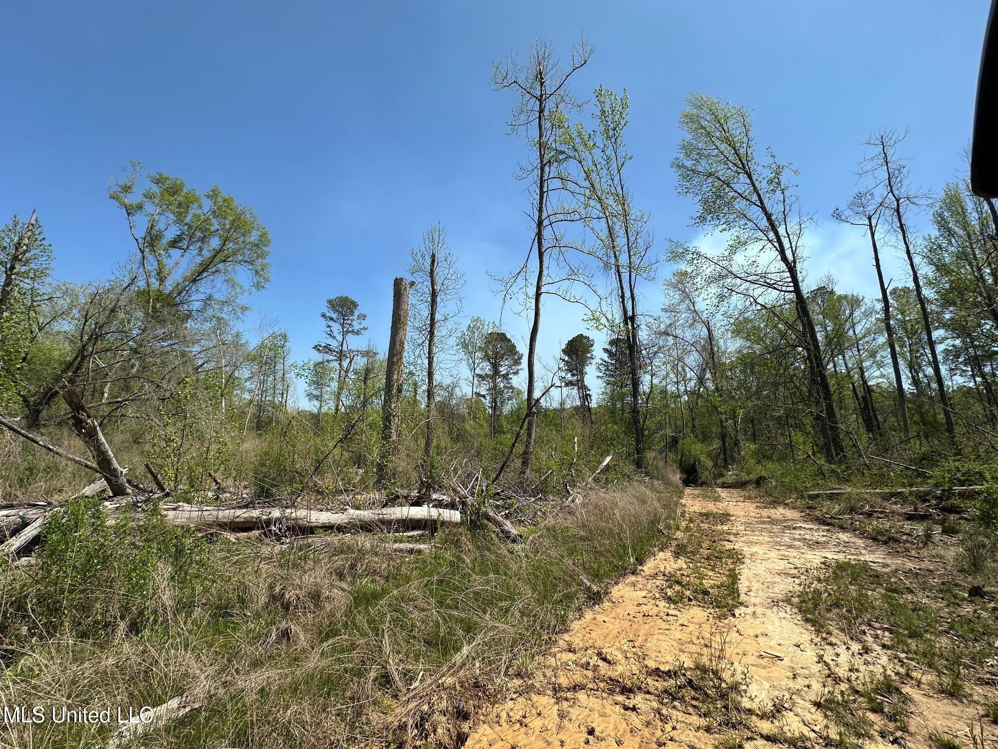 0 County Road 375 Carrollton, MS 38917 - Photo 27 of 63 31