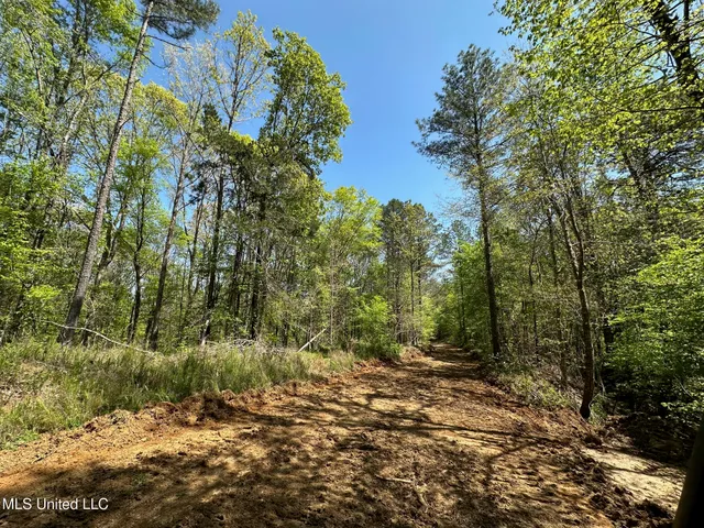 $1,059,000 | 0 County Road 375, Carrollton, MS 38917