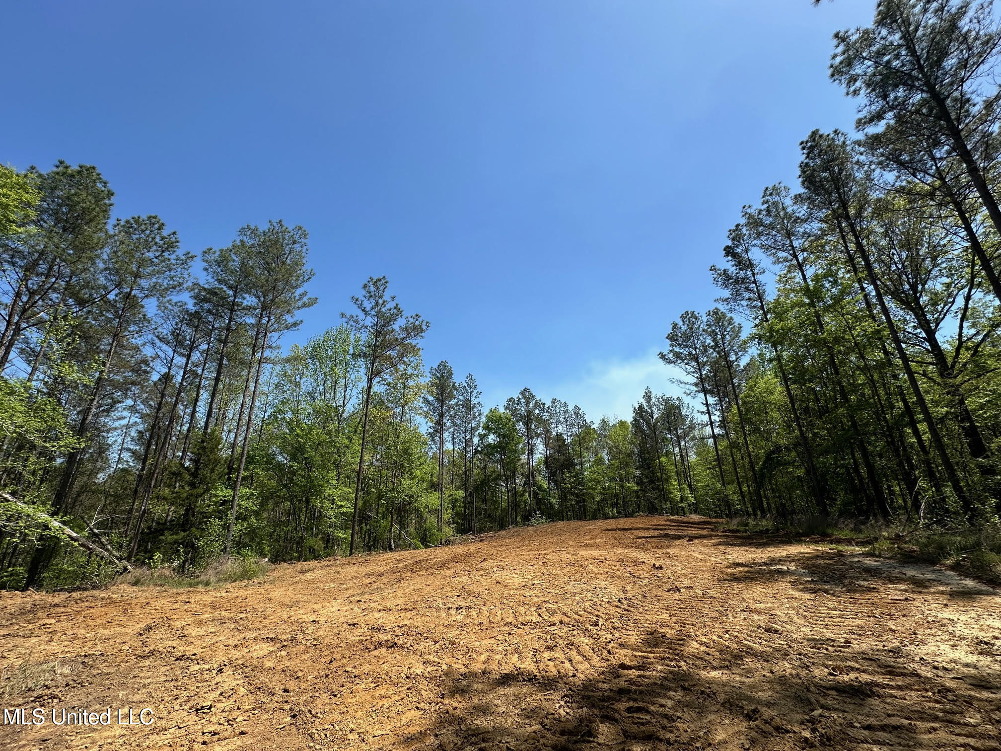 0 County Road 375 Carrollton, MS 38917 - Photo 28 of 67 28