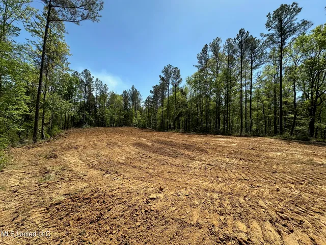$1,059,000 | 0 County Road 375, Carrollton, MS 38917