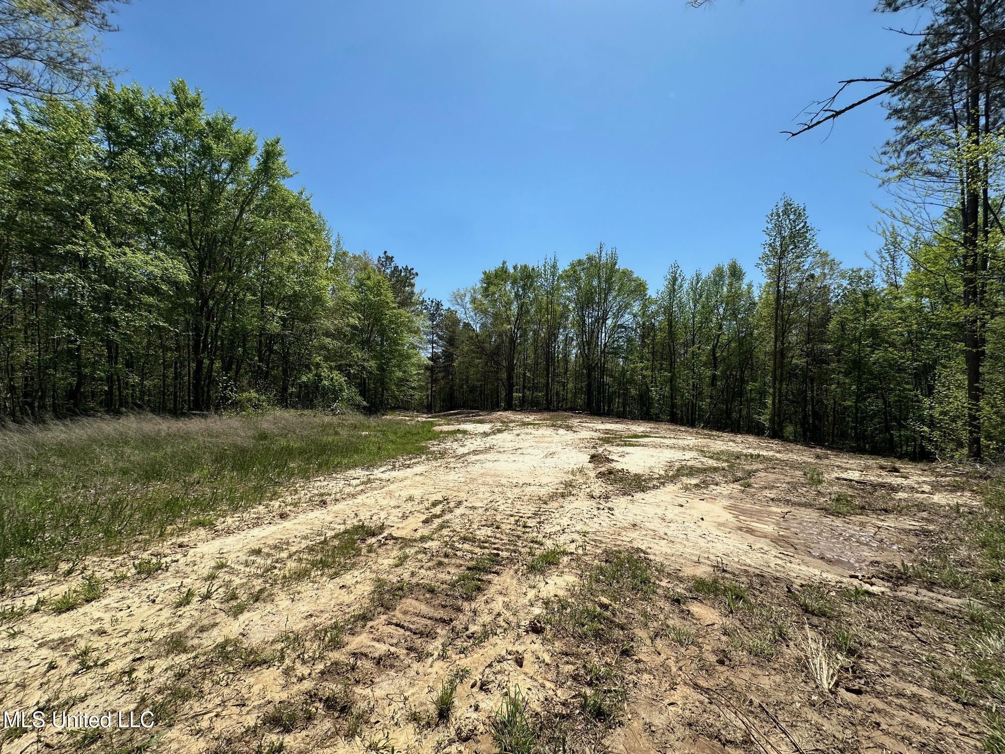 0 County Road 375 Carrollton, MS 38917 - Photo 30 of 67 30