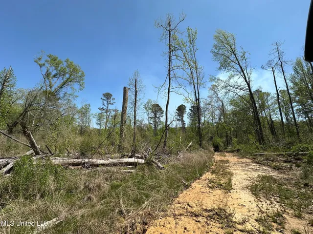 $1,059,000 | 0 County Road 375, Carrollton, MS 38917