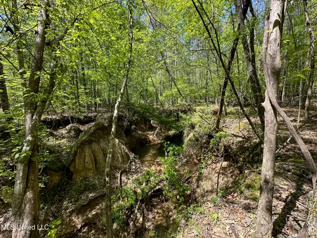 $1,059,000 | 0 County Road 375, Carrollton, MS 38917