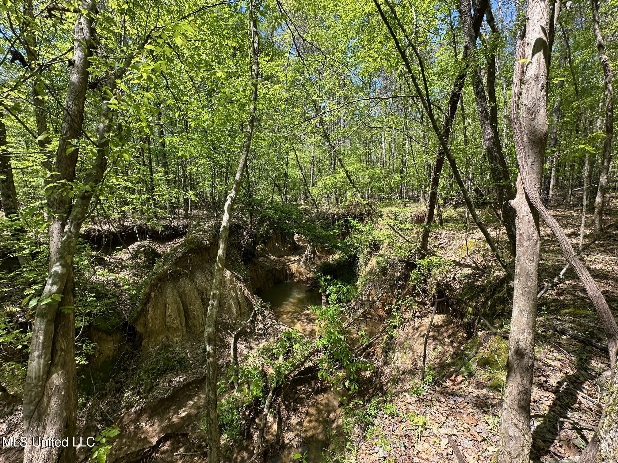 0 County Road 375 Carrollton, MS 38917 - Photo 32 of 67 32
