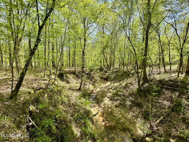 $1,059,000 | 0 County Road 375, Carrollton, MS 38917