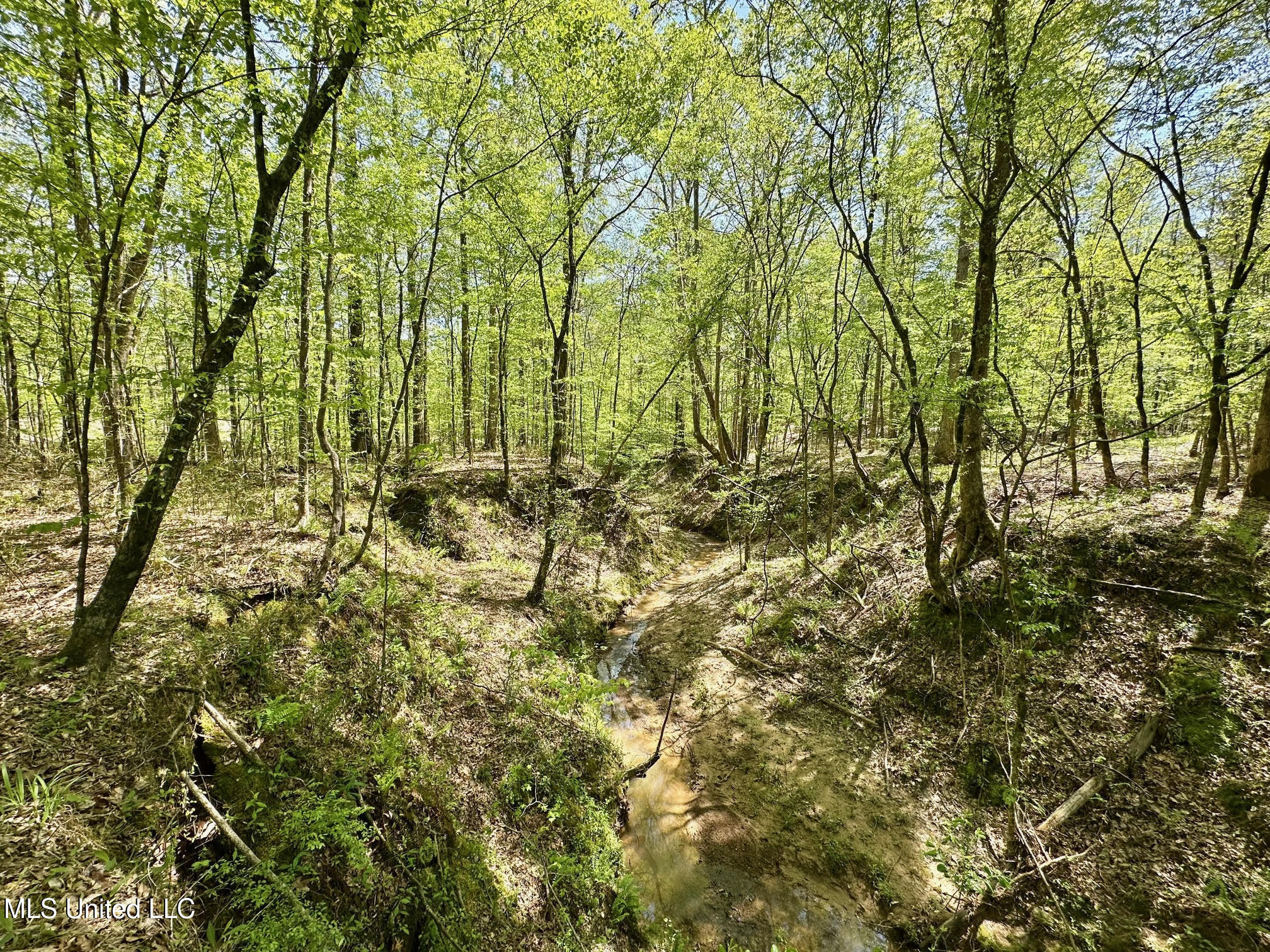 0 County Road 375 Carrollton, MS 38917 - Photo 33 of 67 33