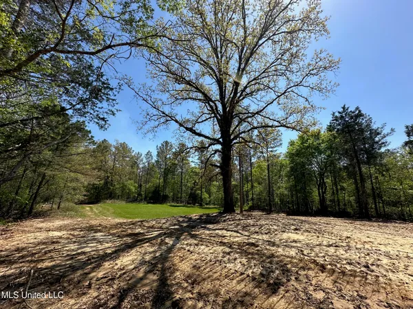 $895,000 | 0 County Road 375, Carrollton, MS 38917