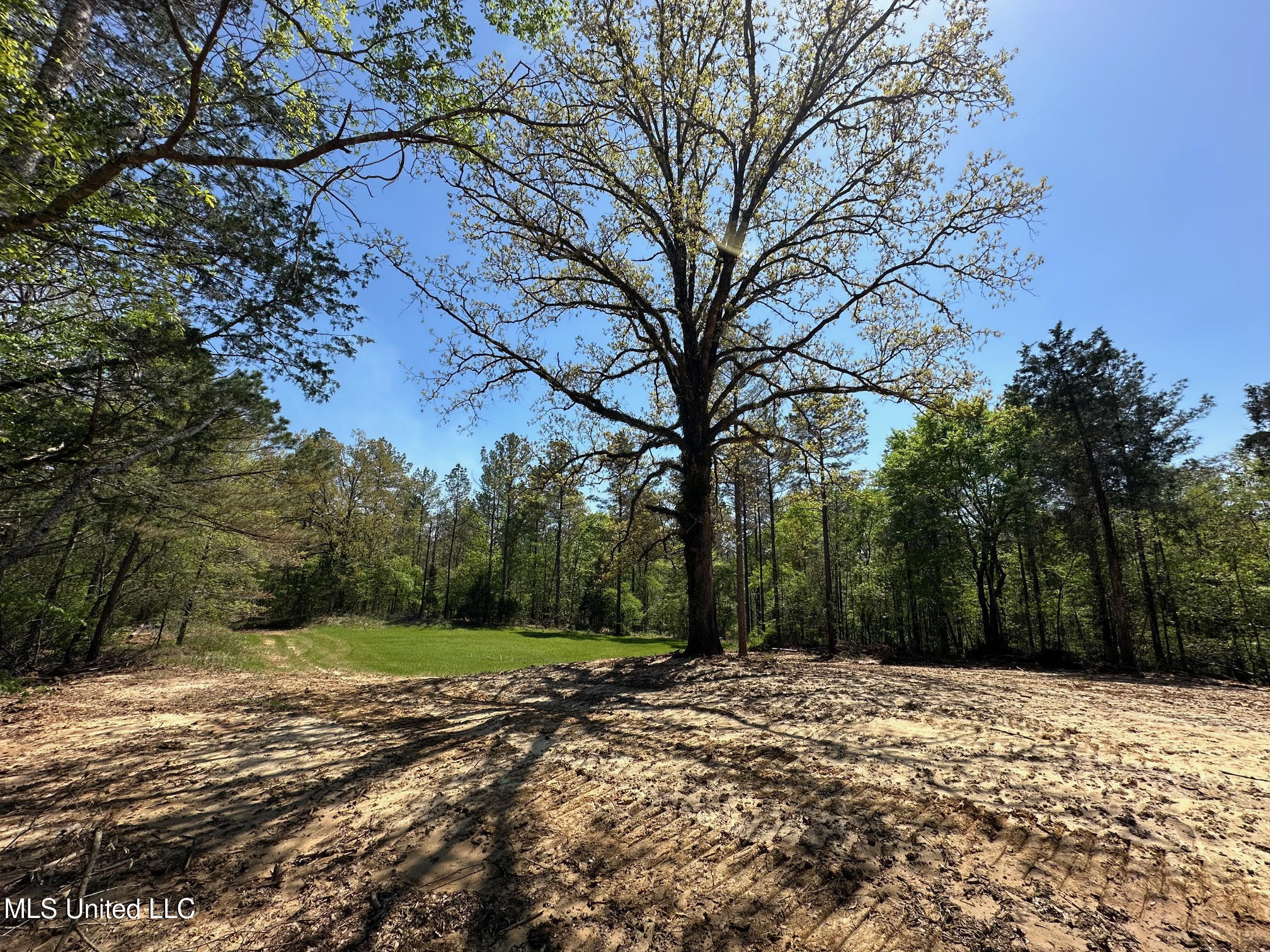 0 County Road 375 Carrollton, MS 38917 - Photo 34 of 63 38