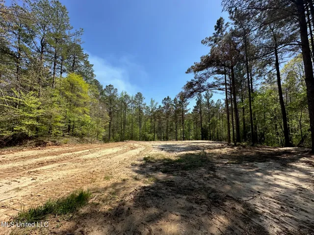 $1,059,000 | 0 County Road 375, Carrollton, MS 38917